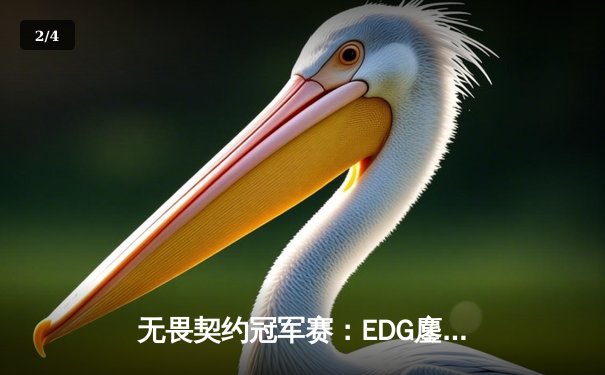 无畏契约冠军赛：EDG鏖战五局力克TE，中国战队提前锁定四强席位 - 2